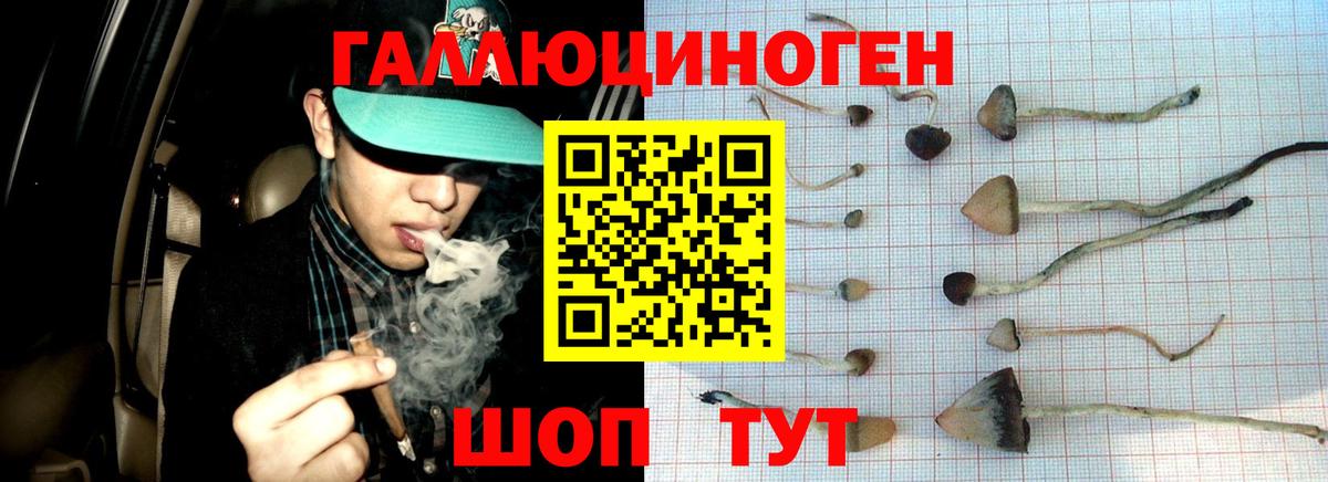 Галлюциногенные грибы MAGIC MUSHROOMS  Вход с VPN  Галлюциногенные грибы Cubensis  Отрадный 
